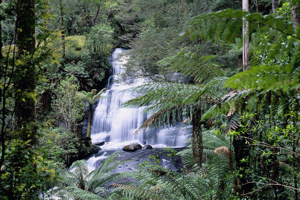 Discover the Stunning Beauty of Triplet Falls: A Hidden Gem in th…