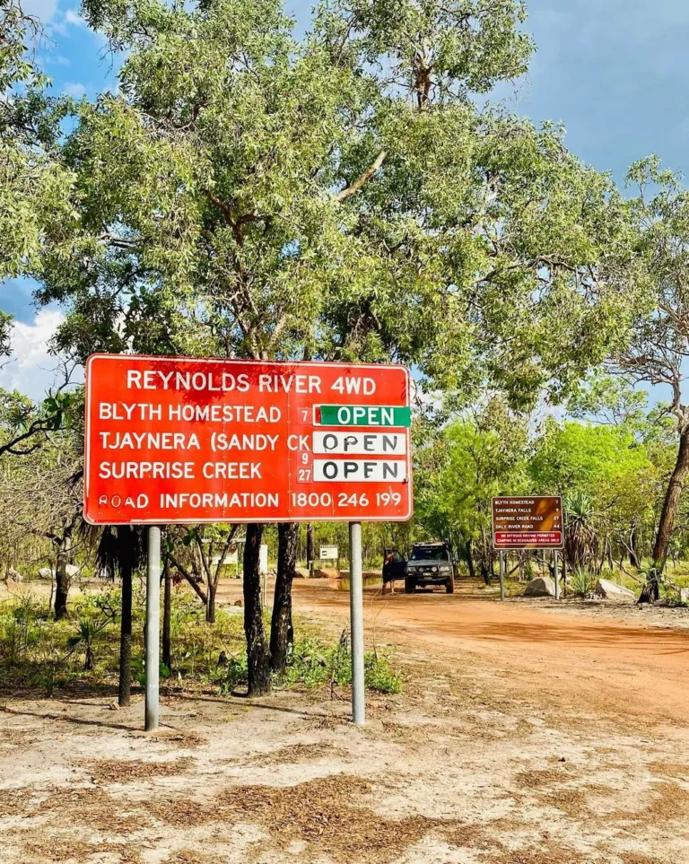 whiskeyriverla | How Many Crocodiles Are in Kakadu National Park?