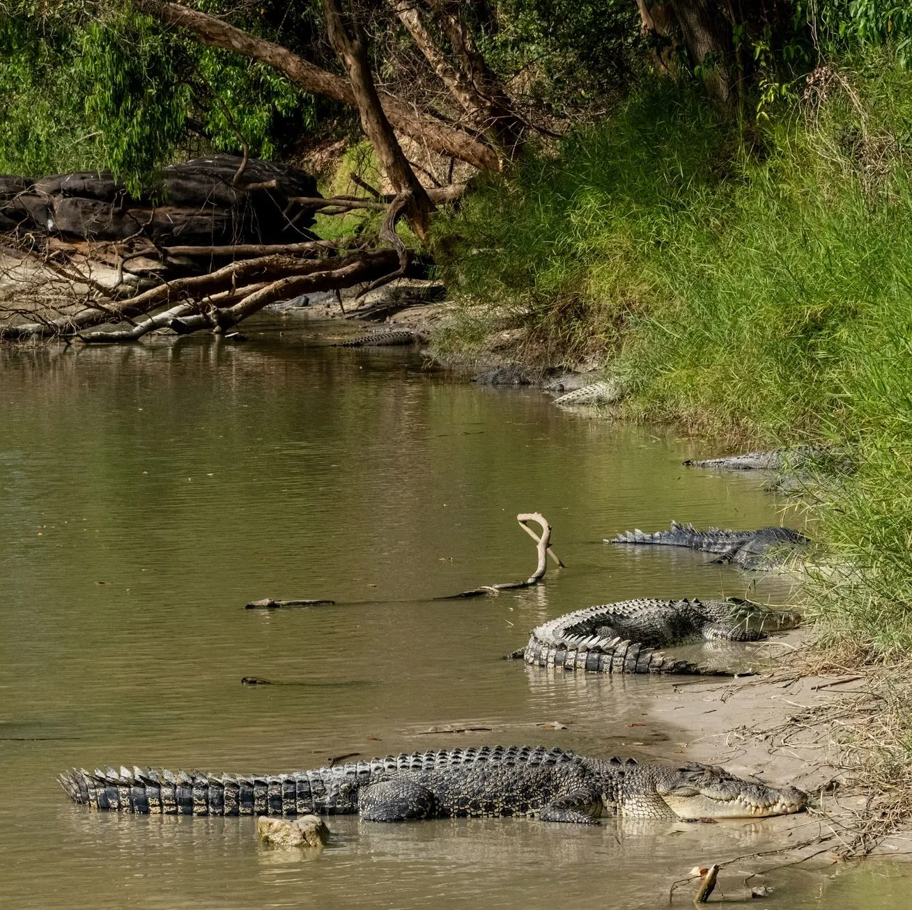 Best Time to Visit Kakadu National Park